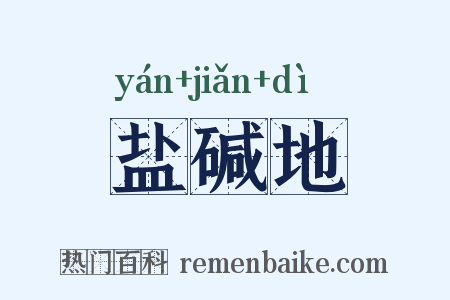 盐碱地是什么意思的图片